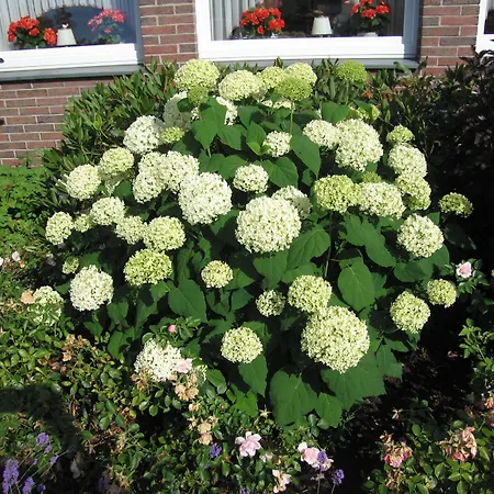 Zum Rosenteich 3*