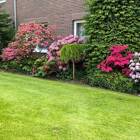 Zum Rosenteich Hotel 3*